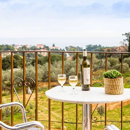 Villa Skala View